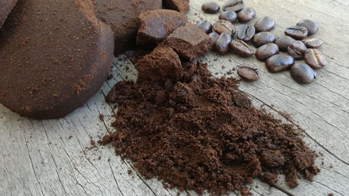 How Coffee Grounds Can Help Grow Your Kitchen Garden