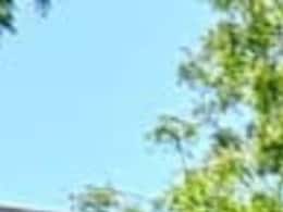 JNV विश्वविद्यालय में पूर्व कर्मचारियों का धरना: पूर्व वीसी बोलें-  '75 साल की उम्र में दे रहे धरना, फिर भी कोई सुन नहीं रहा'