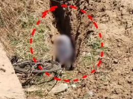 Surajpur : नल जल योजना में भारी लापरवाही ! खुले गड्डे में फंसकर एक बुजुर्ग की हुई दर्दनाक मौत