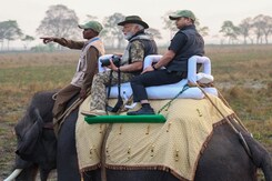 Watch: PM Modi's Elephant Safari At Kaziranga National Park Watch: PM Modi's Elephant Safari At Kaziranga National Park