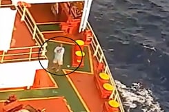 Video: Pirate Ship Intercepted By Indian Navy, Bullets Fired At Chopper Video: Pirate Ship Intercepted By Indian Navy, Bullets Fired At Chopper