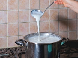 दूध पीने का नहीं करता मन तो इन 5 चीजों को खाकर पूरी कर सकते हैं कैल्शियम की कमी, हड्डियां नहीं होती कमजोर  दूध पीने का नहीं करता मन तो इन 5 चीजों को खाकर पूरी कर सकते हैं कैल्शियम की कमी, हड्डियां नहीं होती कमजोर