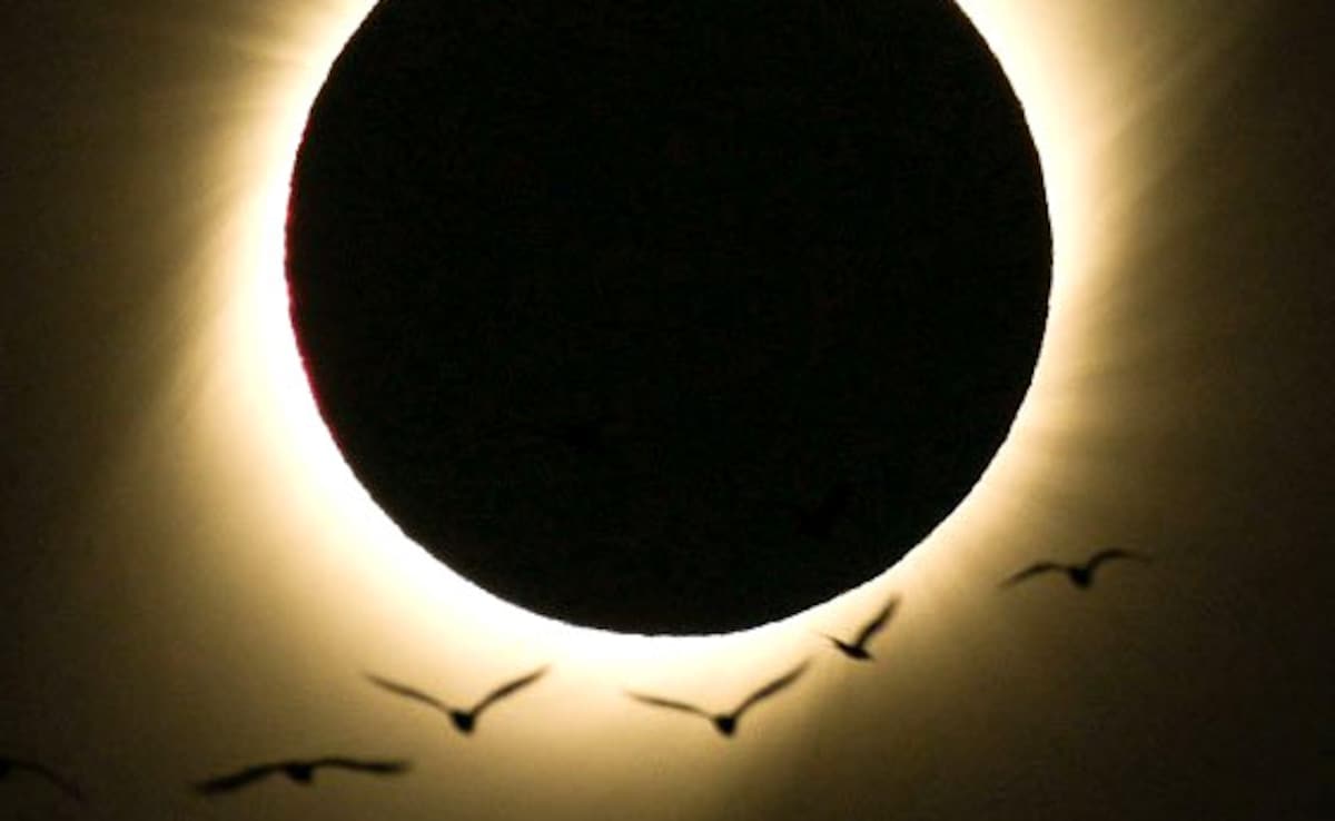 Latest and Breaking News on NDTV Latest and Breaking News on NDTV