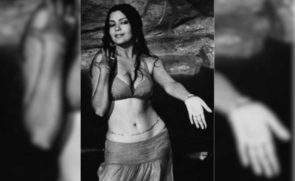 Zeenat Aman On Her "Story Being Told By Strangers": "Sex Symbol Tag Is Impossible To Shake"