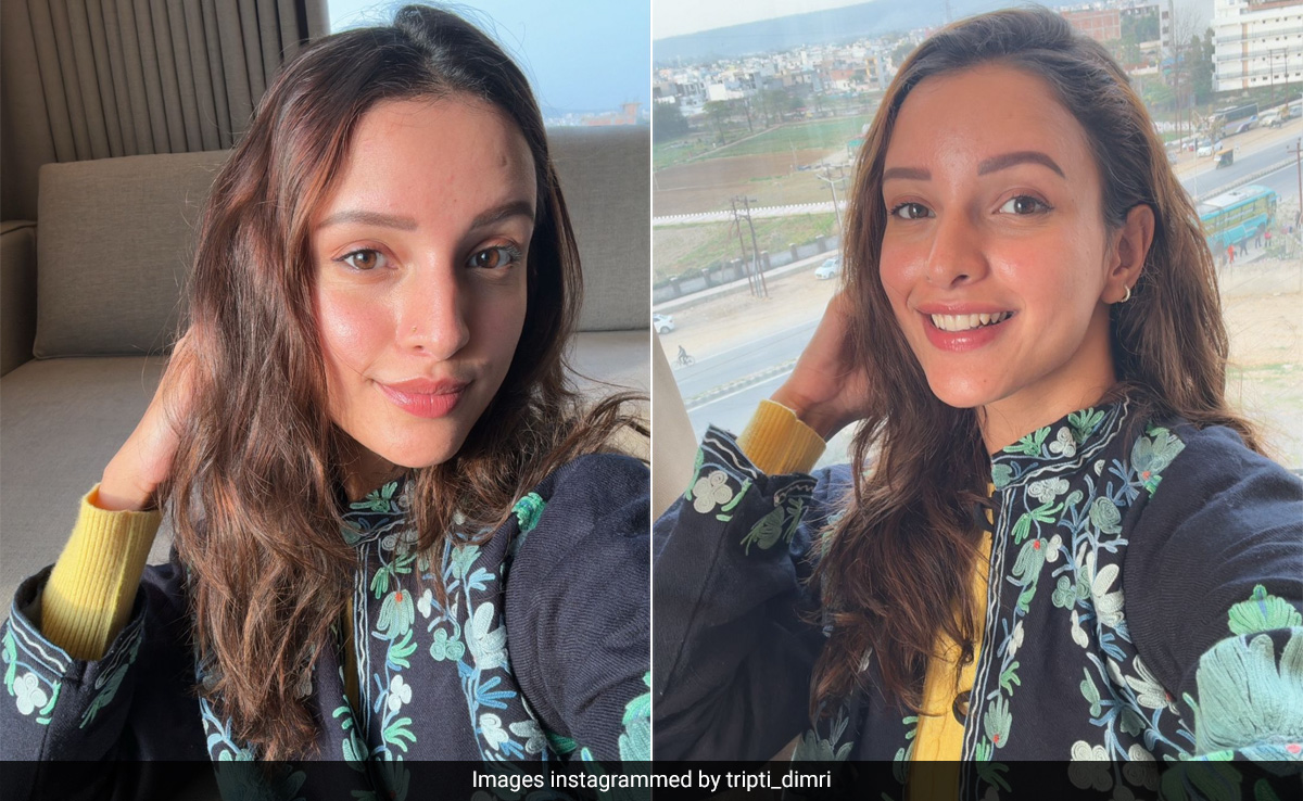Triptii Dimri's Rosy Lip And Cheeks On A Bare Face Is What Spring Beauty Is All About