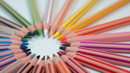 International Colour Day 2024: Know The History And Why It Is Celebrated