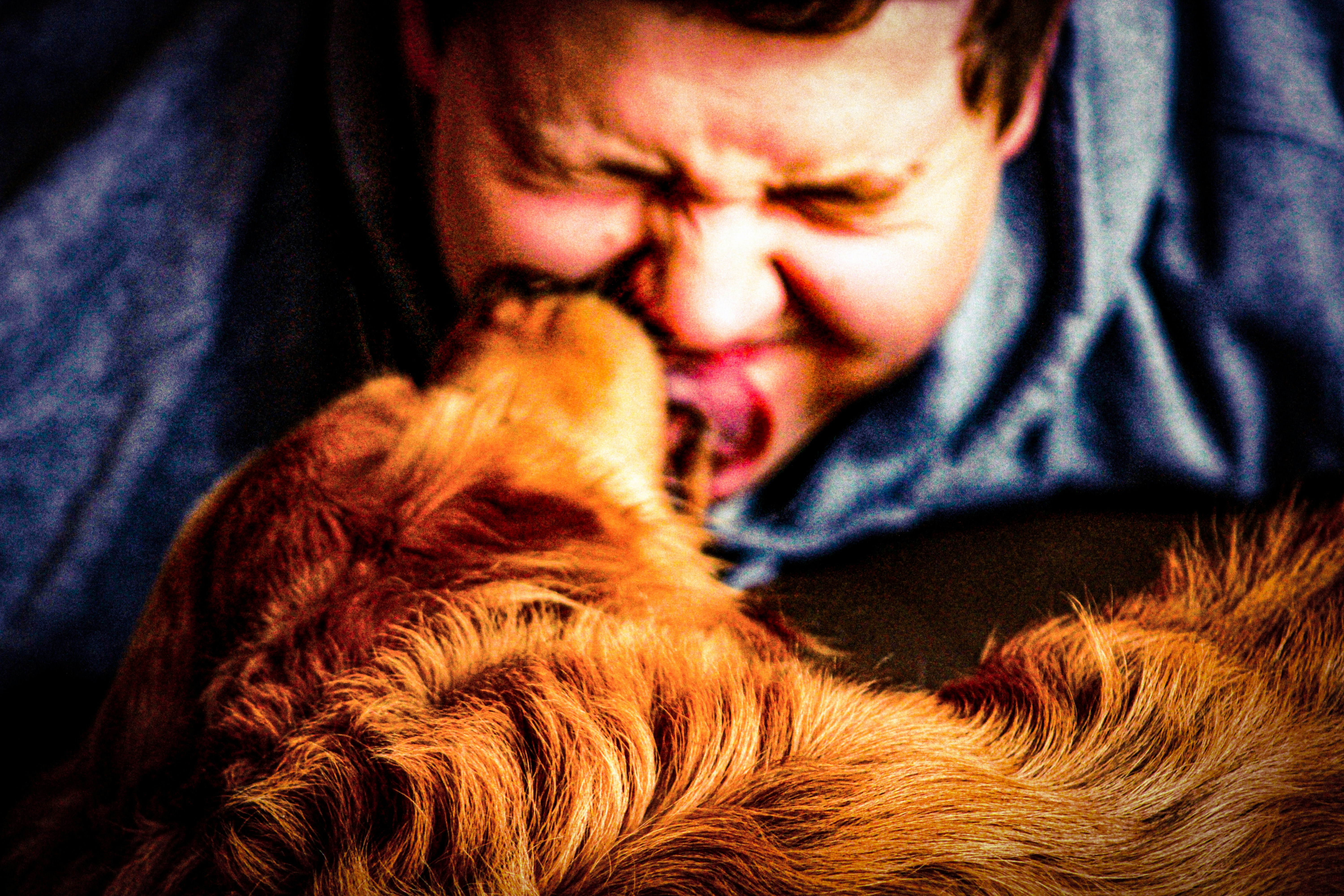 Dogs Licking Owners’ Face Is Not Just Unhealthy, But Can Even Be Fatal Dogs Licking Owners’ Face Is Not Just Unhealthy, But Can Even Be Fatal