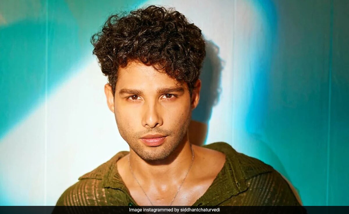 Siddhant Chaturvedi Reveals He Was "Blacklisted" For Rejecting <i>Brahmastra</i>: <i>Badnaam Ho Gaya</i>