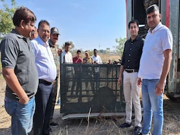 Indore के रिहायशी इलाकों में तीन महीने से दहशत फैला रहा था तेंदुआ, वन विभाग ने IIT इलाके से ऐसे पकड़ा Indore के रिहायशी इलाकों में तीन महीने से दहशत फैला रहा था तेंदुआ, वन विभाग ने IIT इलाके से ऐसे पकड़ा