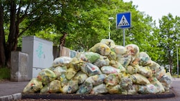 "Households Waste At Least One Billion Meals A Day", Reveals UN Report