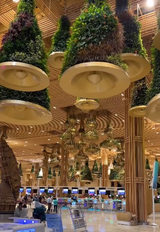 US Tourist Lauds Bengaluru Aiport For Its "Sustainable Features", Video Is Viral