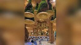 US Tourist Lauds Bengaluru Aiport For Its "Sustainable Features", Video Is Viral
