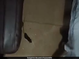 ट्रेन के  AC कोच में इधर-उधर घूम रहा था चूहा, यात्री ने VIDEO बनाकर की शिकायत, रेलवे ने तुरंत लिया संज्ञान ट्रेन के  AC कोच में इधर-उधर घूम रहा था चूहा, यात्री ने VIDEO बनाकर की शिकायत, रेलवे ने तुरंत लिया संज्ञान