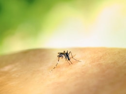 इस राज्य में तेजी से बढ़ रहे हैं डेंगू के मामले, नंबर जान चौंक जाएंगे आप इस राज्य में तेजी से बढ़ रहे हैं डेंगू के मामले, नंबर जान चौंक जाएंगे आप