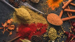 Summer Spices: गर्मियों में पेट को ठंडक पहुंचाते हैं ये मसाले, आज ही करें डाइट में शामिल