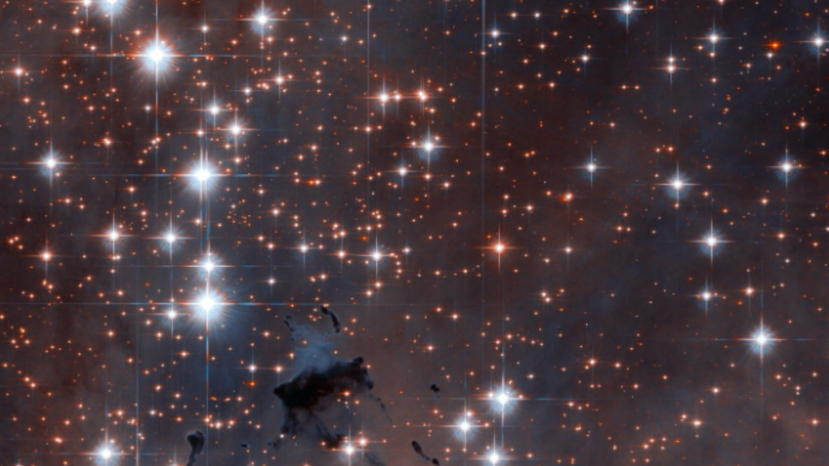 NASA's Hubble Captures 5-Million-Year-Old Star Cluster. See Stunning Pic