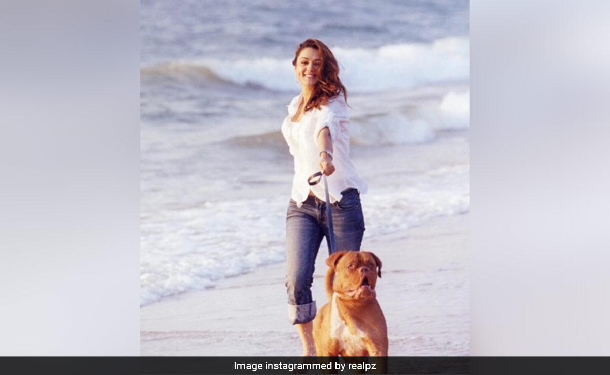 Preity Zinta's Throwback Post Features Salman Khan's Pet Dog Myjaan