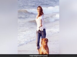 Preity Zinta's Throwback Post Features Salman Khan's Pet Dog Myjaan Preity Zinta's Throwback Post Features Salman Khan's Pet Dog Myjaan