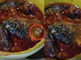 मजे से फिश करी खा रही थी महिला, तभी रेंगते दिखे जिंदा कीड़े, महिला की निकल गईं चीखें, देखें VIDEO