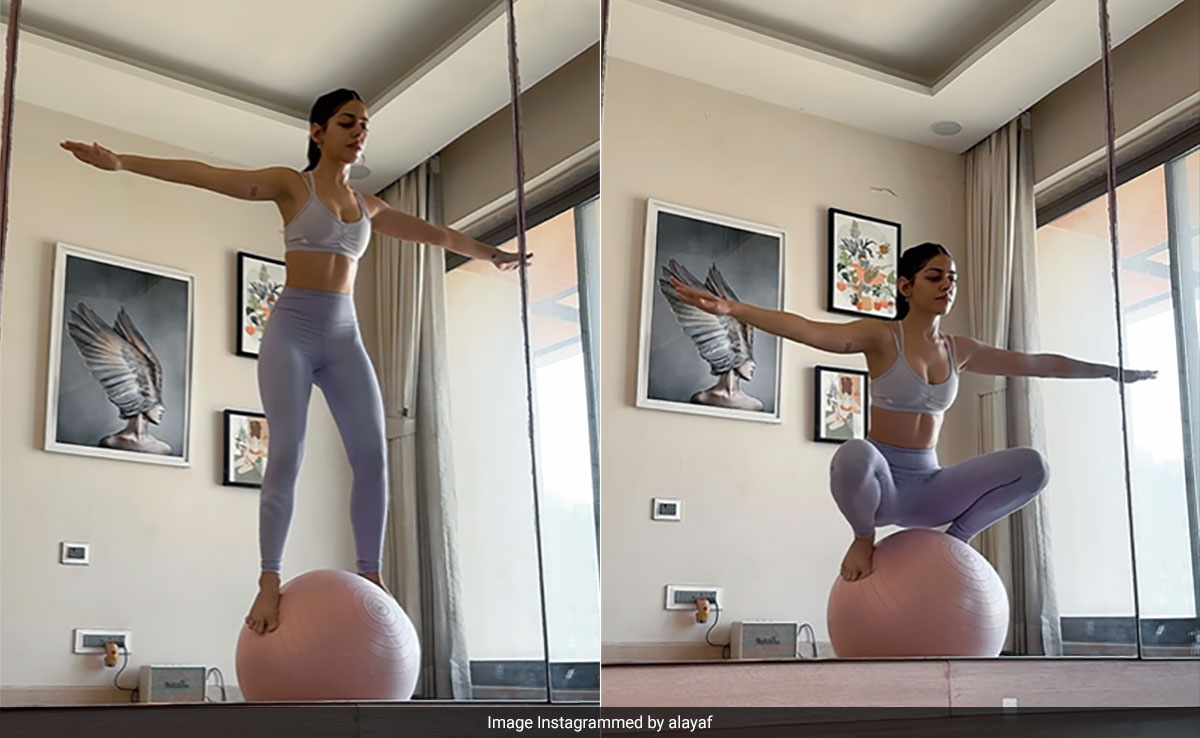 Alaya F's Core Strength Is At Its Peak As She Performed Squats Balancing On A Gym Ball