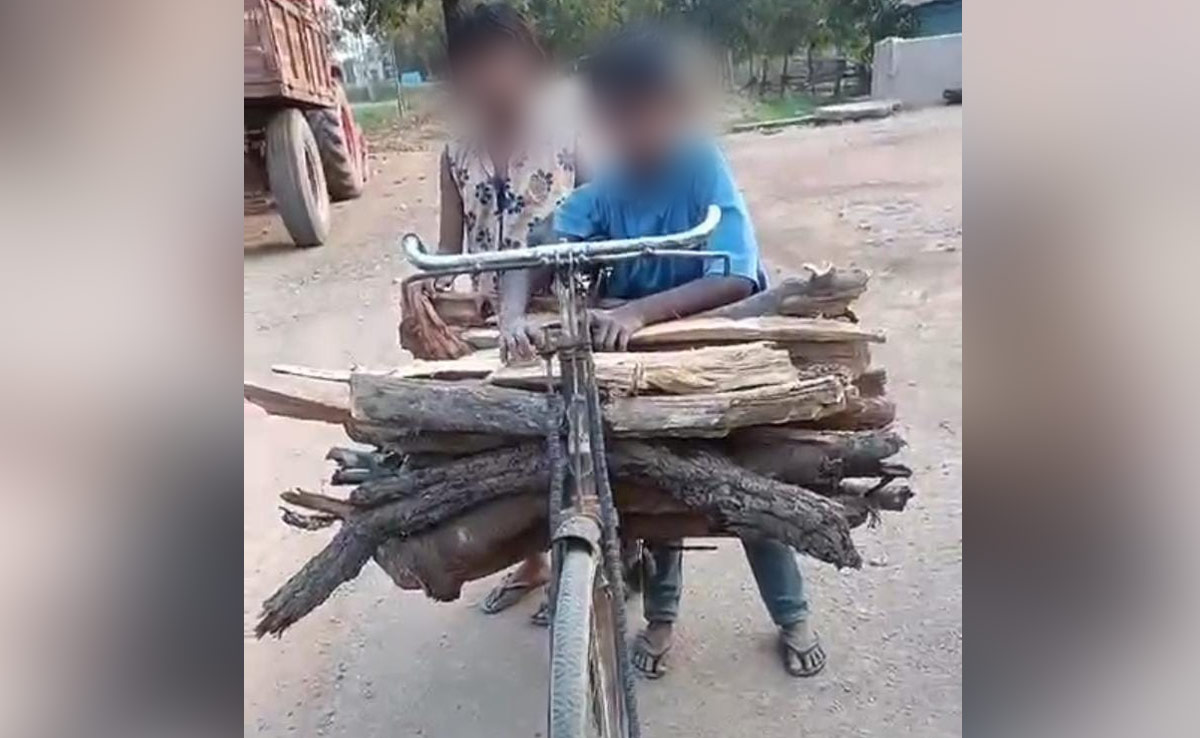 Balrampur: पढ़ाई करने की जगह स्कूल के लिए लकड़ी ढो रहे बच्चे, साइकिल पर लकड़ी लाने का वीडियो वायरल