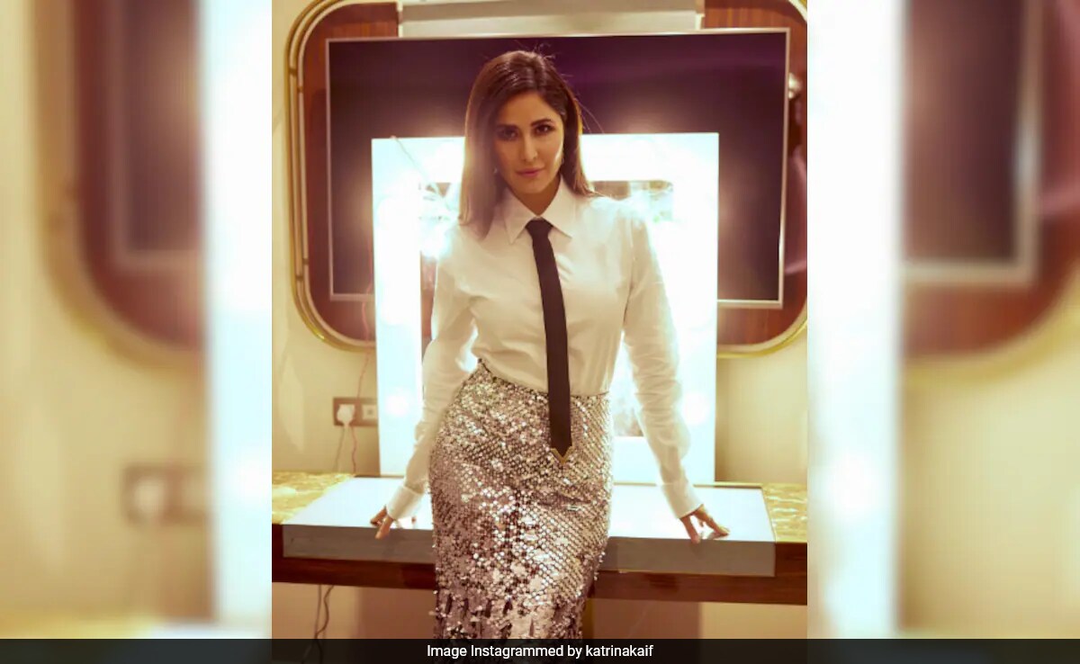 Katrina Kaif Turned Down A Hollywood Offer: "I Do Believe It Will Happen"