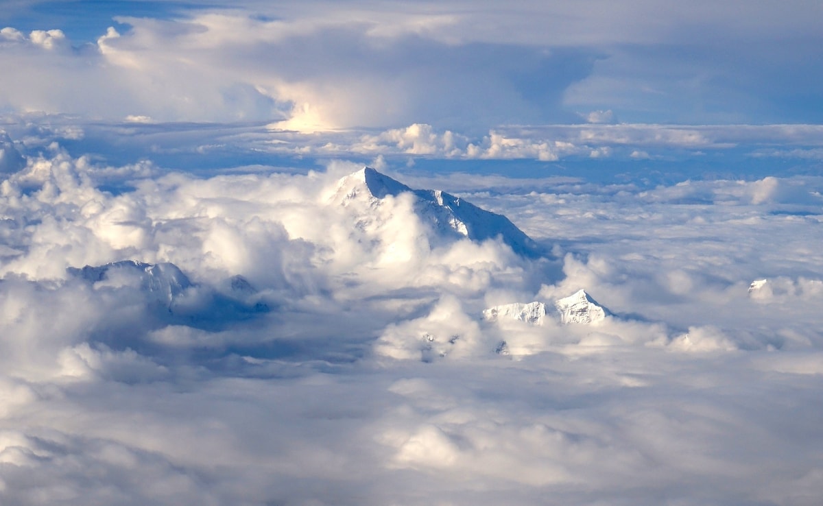 The Art of Baking: From Classic Bread to Artisan Pastries
