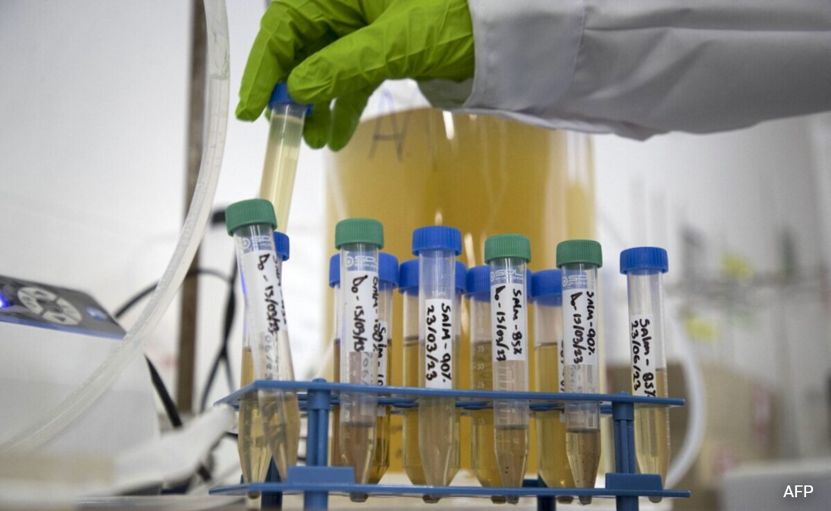 US, China, Australia Among Hotspots For Toxic "Forever Chemicals": Study