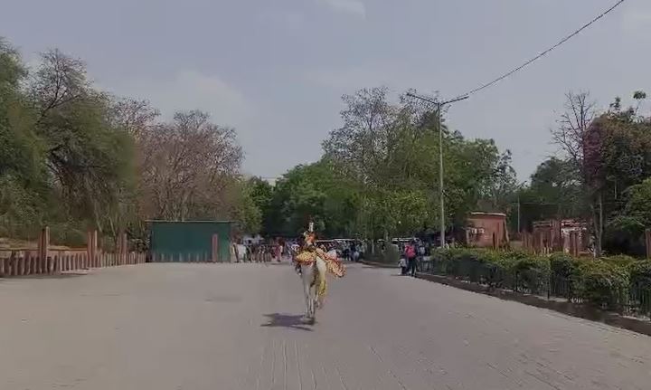 Watch: A Horse (Almost) Walks Into Taj Mahal