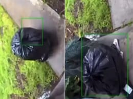 अचानक खुद ब खुद चलने लगी कचरे की थैली, CCTV में देखें पार्सल चुराने का भयंकर जुगाड़ अचानक खुद ब खुद चलने लगी कचरे की थैली, CCTV में देखें पार्सल चुराने का भयंकर जुगाड़