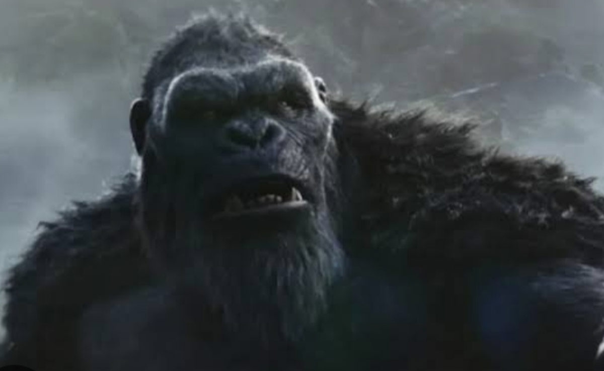 Godzilla X Kong: गॉडजिला एक्स कॉन्ग छूने जा रही है 50 करोड़ का आंकड़ा, जानें क्रू का बॉक्स ऑफिस पर कैसा है हाल?