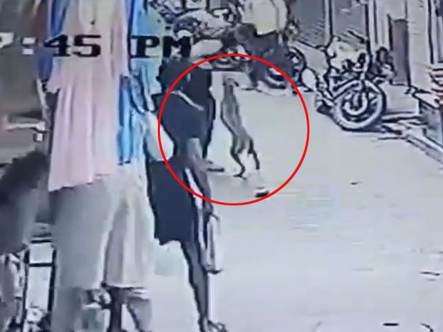 Dog Attacks 2 Children In Bhopal, Captured On CCTV