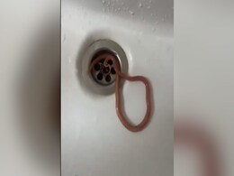 पेट में दर्द के बाद शख्स को हुई उल्टी, मुंह से निकला ज़िंदा कीड़ा, Video देख उड़ जाएंगे होश पेट में दर्द के बाद शख्स को हुई उल्टी, मुंह से निकला ज़िंदा कीड़ा, Video देख उड़ जाएंगे होश