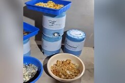 Many Drug Manufacturing Labs Busted By NCB, ATS & Gujarat Police Many Drug Manufacturing Labs Busted By NCB, ATS & Gujarat Police