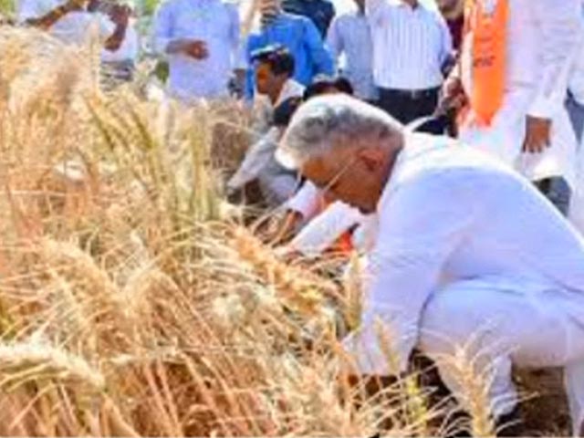 Lok Sabha Elections 2024: जनता के बीच प्रचार करने वाले नेताओं को क्या-क्या करना पड़ रहा है?