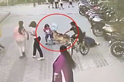 German Shepherd Bites 6-Year-Old At Ghaziabad Housing Complex German Shepherd Bites 6-Year-Old At Ghaziabad Housing Complex
