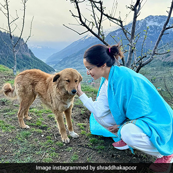 Shraddha Kapoor's Hillside Escape Is How You Should Beat The Heat Too