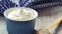 10 Health Benefits Of Consuming A Bowl Of Curd With Your Lunch