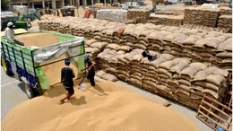 Wheat Procurement: यूपी-बिहार-राजस्थान के किसानों को केंद्र का तोहफा, इस साल 7 गुना ज्यादा गेहूं खरीदेगी सरकार, 48 घंटे में मिलेगी पेमेंट