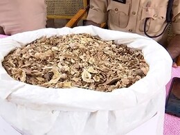 इंदौर में नशे पर पुलिस का बड़ा प्रहार, 19 ड्रग तस्करों को पुलिस ने ऐसे दबोचा, पूछताछ में खोले कई बड़े राज 