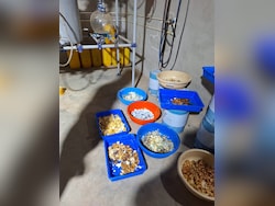 Centre's Regulation For Chemical Used To Make 'Meow Meow' Drug