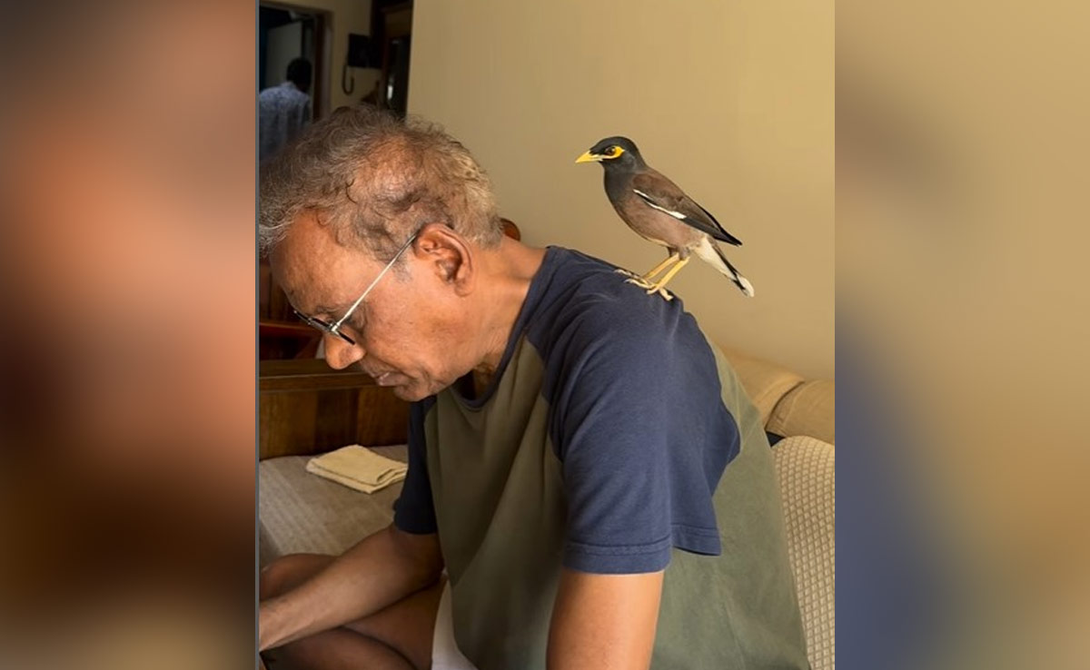 भूल जाइए मलाइका का डॉग, आलिया की कैट, दूरदर्शन के जमाने के इस एक्टर के पास है जादुई मैना