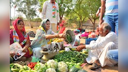Rajasthan Politics: सड़क पर सब्जी बेचती नजर आईं अशोक गहलोत की पुत्रवधु, वैभव को जिताने के लिए पूरे परिवार ने जालोर में डाला डेरा