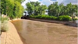 Rajasthan Water Supply: नहरी पानी में राजस्थान का हिस्सा खत्म, उधार के पानी से हो रही सिंचाई