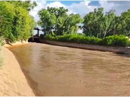 Rajasthan Water Supply: नहरी पानी में राजस्थान का हिस्सा खत्म, उधार के पानी से हो रही सिंचाई Rajasthan Water Supply: नहरी पानी में राजस्थान का हिस्सा खत्म, उधार के पानी से हो रही सिंचाई