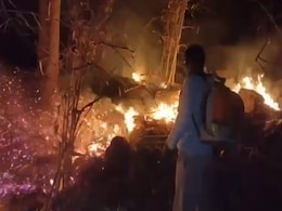 जंगल में लगी भयानक आग को बुझाते Forester का Video वायरल, IFS ने बताया- क्यों है ये दुनिया का सबसे मुश्किल काम? जंगल में लगी भयानक आग को बुझाते Forester का Video वायरल, IFS ने बताया- क्यों है ये दुनिया का सबसे मुश्किल काम?