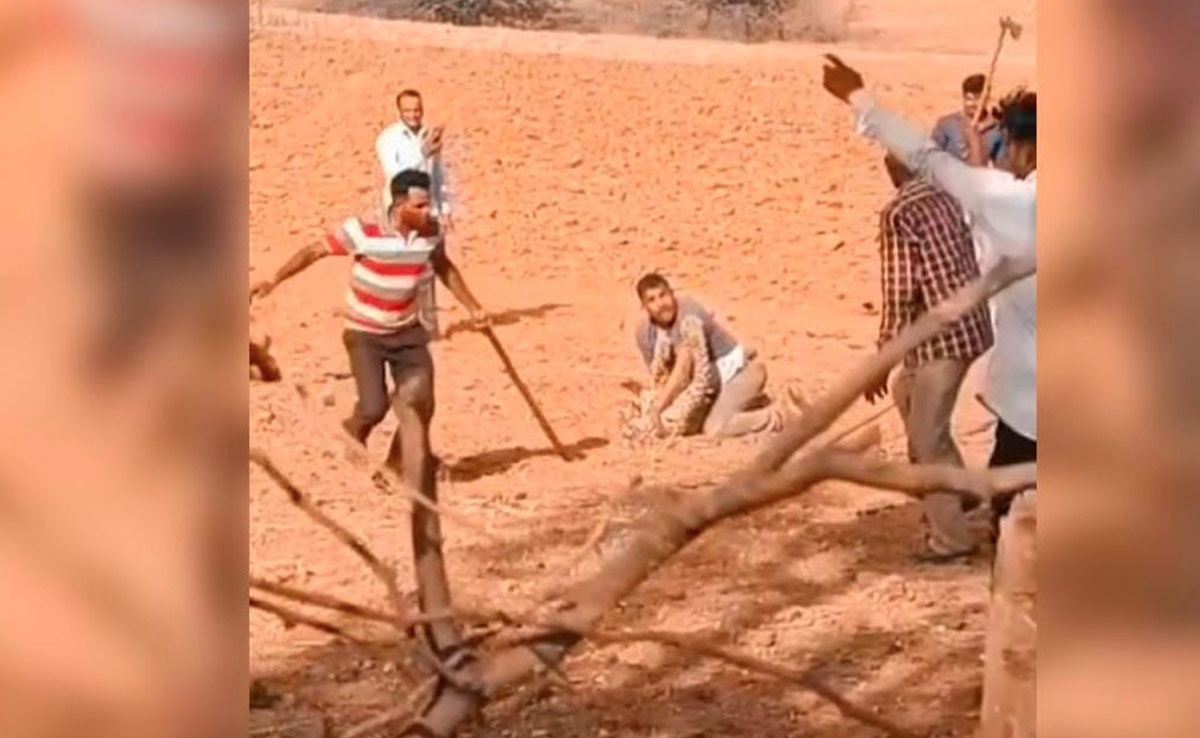 नील गाय का शिकार करने के बाद पैंथर ने मीडियाकर्मी का पैर जबड़े में दबोचा, VIDEO देख सिहर जाएंगे