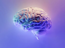 US Teens Brain Structure Study Links Early Substance Use Risk