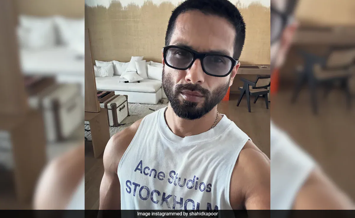 Mira Rajput's Comment On Shahid Kapoor's Post Is Major LOL: "Thanks For Messing Up The Cushions"