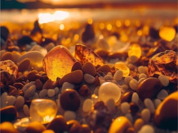 99 Million-Year-Old Amber Offers Rare Glimpse Of Dinosaur Era 99 Million-Year-Old Amber Offers Rare Glimpse Of Dinosaur Era